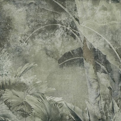 AMAZONIA