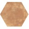 HEXA MAISON COTTO