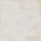 SHELLS BEIGE