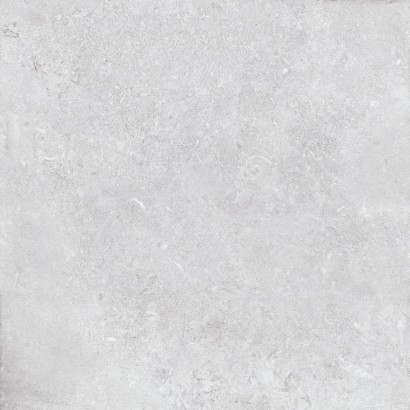 SHELLS GRIS