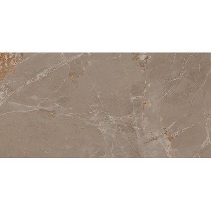 GENESIS TAUPE